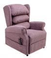 Cord Plum