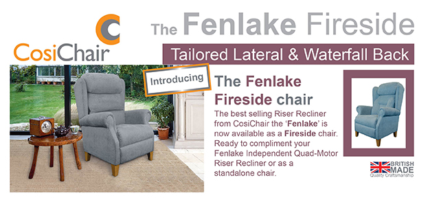 Fenlake Fireside Chair - NEW contemporary comfort